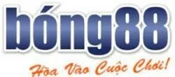 bongvip.nl
